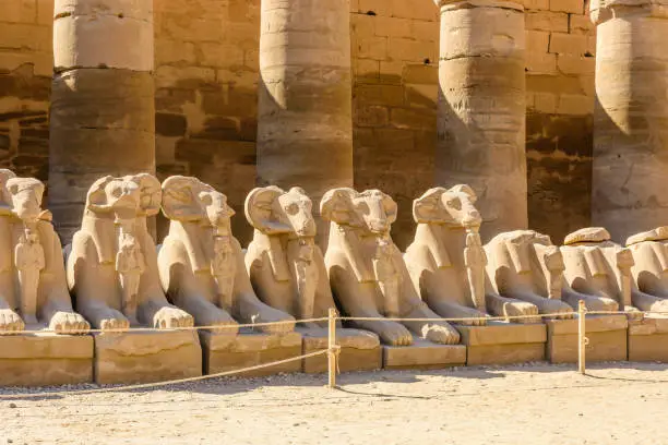 Photo of Avenue of the ram-headed Sphinxes in a Karnak Temple. Luxor, Egypt
