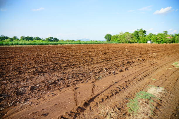 Agricultural landscape of empty plowed field over sunny blue sky background