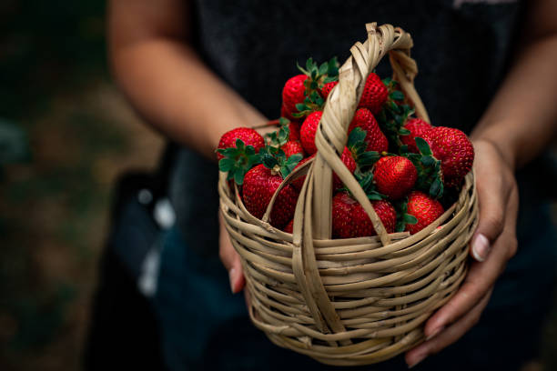 istock Girl holding basket with strawberries 1267182719