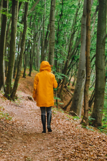 istock woman in yellow raincoat walking by rainy forest 1267182906