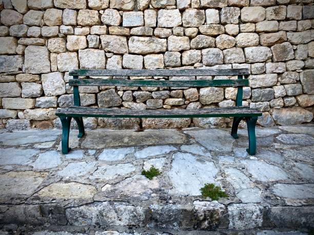 Stone bench near old stone wall overgrown with ivy and other green plants. Nature outdoor background