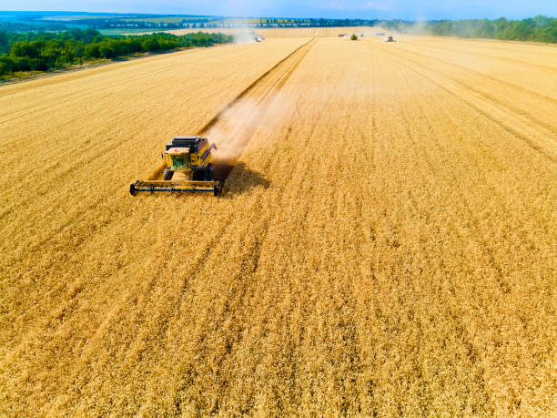 istock Aerial drone view: combine harvesters working in wheat field on sunset. Harvesting machine driver cutting crop in farmland. Organic farming. Agriculture theme, harvesting season. Quadcopter photo 1267187178