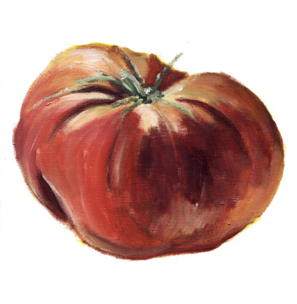 ilustrações, clipart, desenhos animados e ícones de tomate de relíquia vermelha - heirloom tomato illustrations