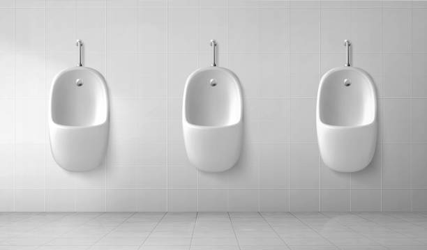 ilustrações de stock, clip art, desenhos animados e ícones de male toilet interior with row of white urinals - urinal clean contemporary in a row