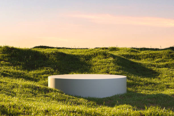 istock Blank Round White Showcase on Green Grass at Heaven Meadow. Copy Space. Empty Space. 3d rendering 1267192488