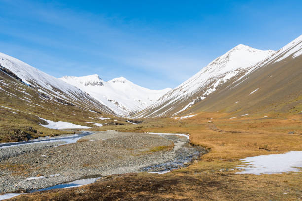 istock Thorgeirsdalur valley in Iceland on a sunny spring day 1267194560
