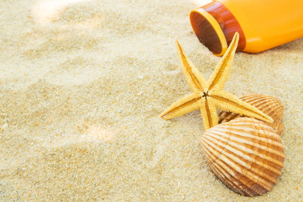istock beach sand with seashells and sun cream 1267195949