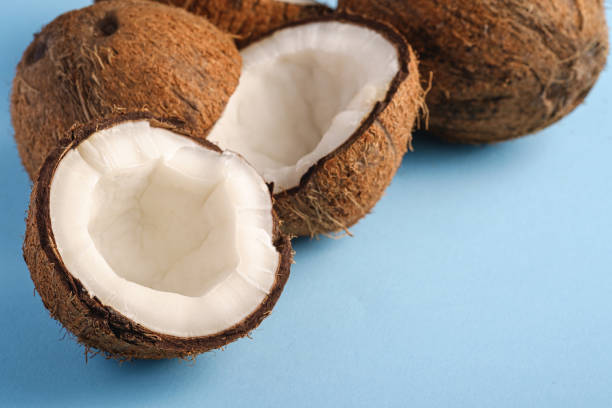 istock Coconut fruits on blue vibrant plain background, abstract food tropical concept, angle view macro 1267199047