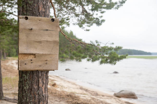 istock A sign on a tree near the water, mock-up. Karelia 1267200194