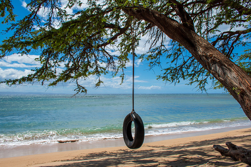 Sandy beach with a tire swing and vegetation trees sand and ridges in the background