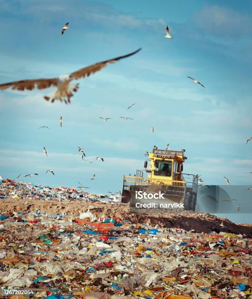 Refuse Compactor Working At Garbage Dump Stock Photo - Download Image Now - Landfill, Garbage, Pollution
