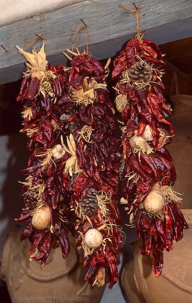 istock Dried Red Chile Ristras - 49 1267202915
