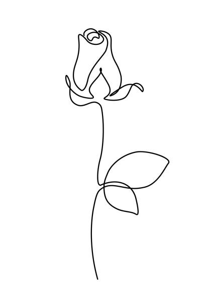 Rose flower bud Rose flower bud in continuous line art drawing style. Minimalist black linear design isolated on white background. Vector illustration tattoo clipart stock illustrations