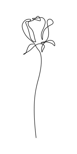 ilustraciones, imágenes clip art, dibujos animados e iconos de stock de flor de rosa - beauty in nature beauty black flower head
