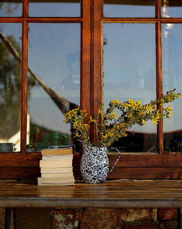 A flowerpot with yellow fynbos flowers and books on a table