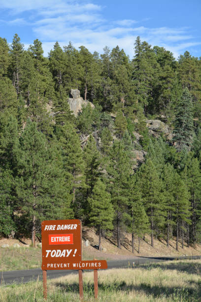 istock Prevent wildfires, fire danger sign in Kaibab National Forest, Arizona 1267207279