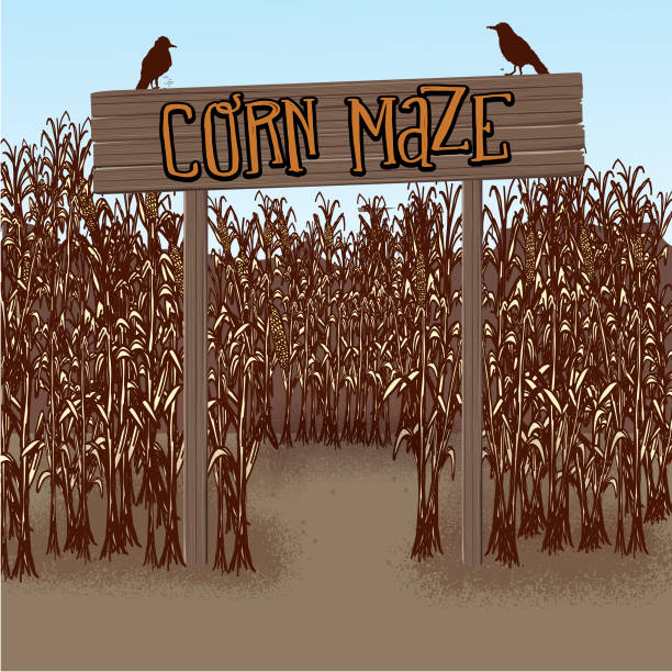 drewniany znak i ogrodzenie do wejścia corn maze - arrow sign road sign fence stock illustrations