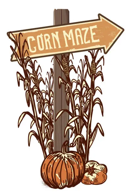 Vector illustration of Wooden sign post and fence to Corn Maze entrance