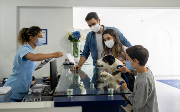 Happy family taking their dog to the vet wearing a facemask Happy Latin American family taking their dog to the vet wearing a facemask and puppy getting a treat from the receptionist animal hospital photos stock pictures, royalty-free photos & images
