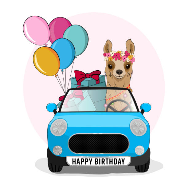 istock Cute llama, Alpaca in the car with gifts and balloons. Vector illustration 1267214290
