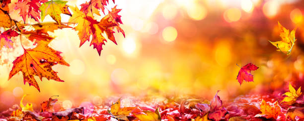 istock Red Leaves At Sunset With Defocused Lights - Abstract Autumn Background 1267214332