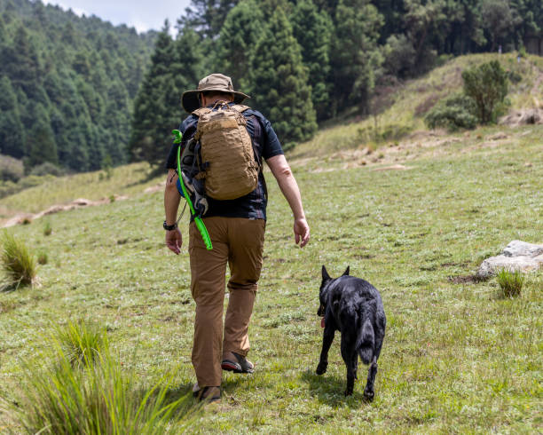 istock dog and man hiking in valley 1267222855
