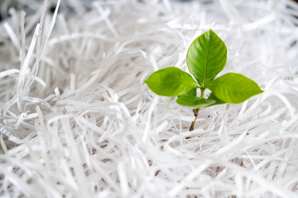 istock Recycling paper to prevent damage to trees and the environment. 1267226512