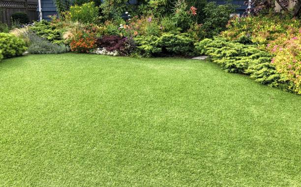 istock A beautiful artificial lawn in the front yard with nice flowers and shrubs surrounding it 1267231357