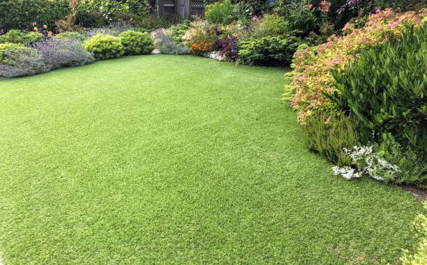 istock A beautiful artificial lawn in the front yard with nice flowers and shrubs surrounding it 1267231358