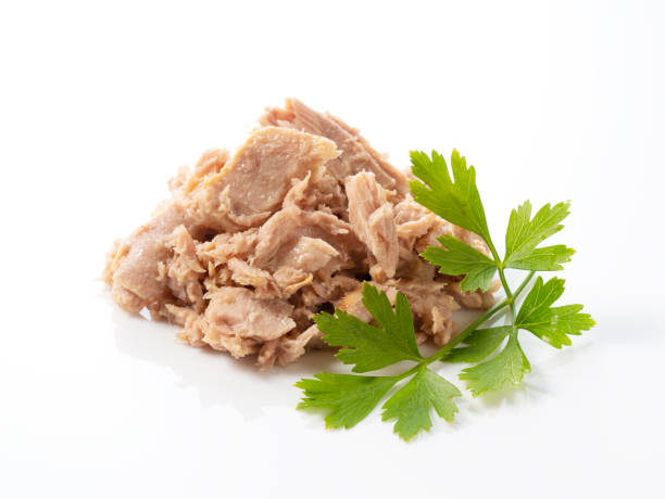 istock Tuna and Italian parsley on a white background 1267233005