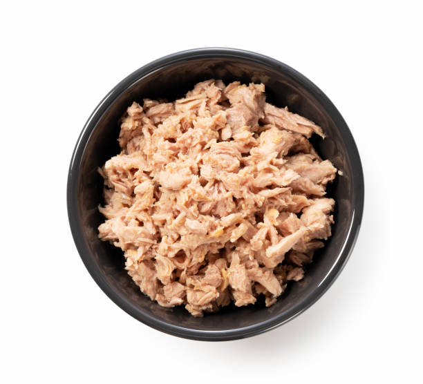 istock Tuna in a black bowl. 1267233070