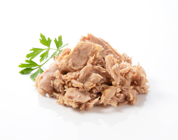 istock Tuna and Italian parsley on a white background 1267233079