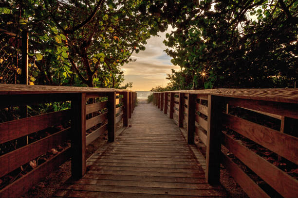 istock Boardwalk leading toward Delnor Wiggins State Park 1267236496