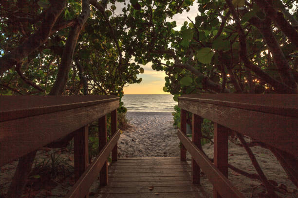 istock Boardwalk leading toward Delnor Wiggins State Park 1267236498