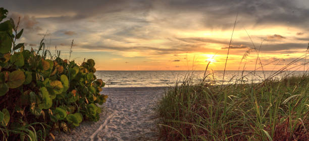 istock White sand path leading toward Delnor Wiggins State Park 1267236523
