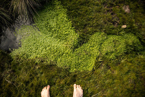 istock Feet standing sand rock water ocean nature 1267237713