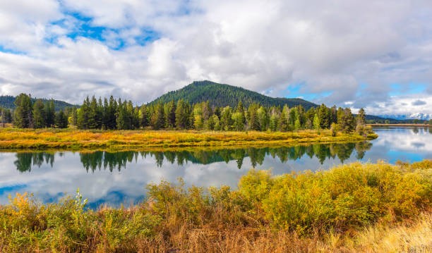 rio snake no outono, grand teton - nature reflection grand teton teton range - fotografias e filmes do acervo