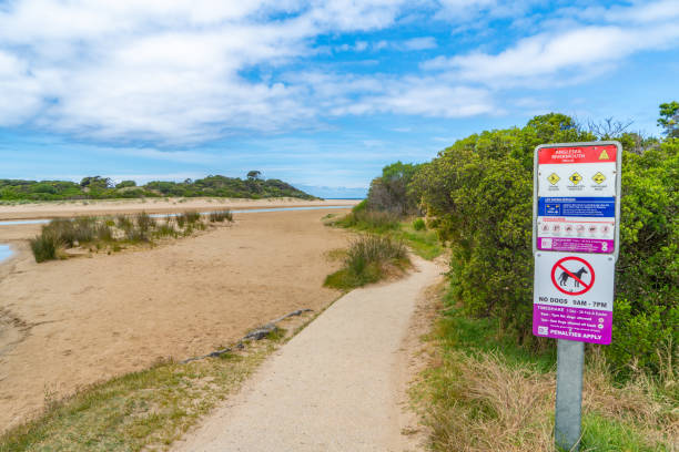 istock The trail and Anglesea Beach at Anglesea Rivermouth in Anglesea, Victoria, Australia 1267241374