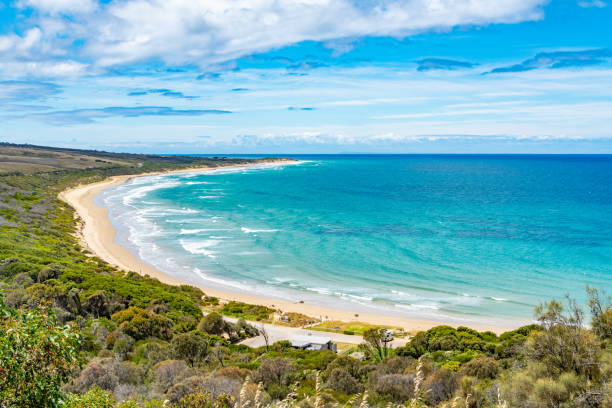 urquhart bluff in anglesea an der great ocean road, victoria, australien - australian culture landscape great ocean road beach stock-fotos und bilder