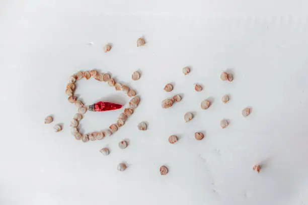 Photo of dried chilli and seeds arrangement