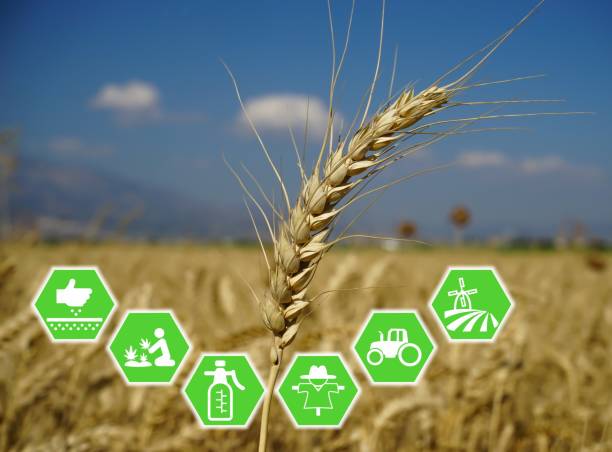 istock modern and smart agriculture applications 1267253038