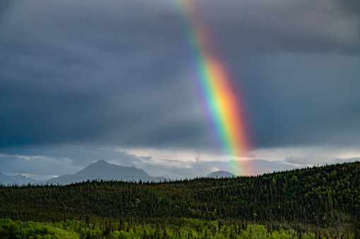 Rainbow in Denali park