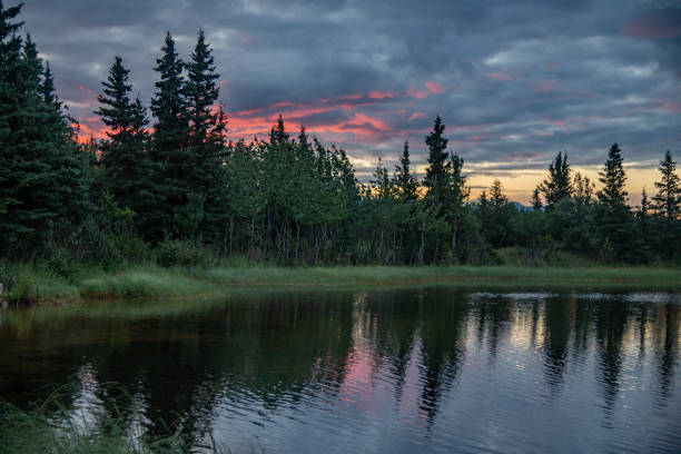 istock Sunrise at Denali area lake - Otto 1267254906