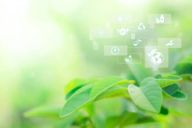 istock Blurred greenery background in the forest with copy space, Sustainable energy with technology icon, Environmental and Ecology concept.landscape, ecology, fresh wallpaper concept. 1267256609