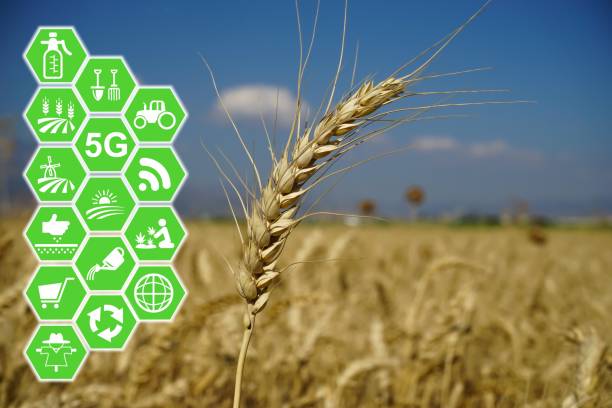 istock modern and smart agriculture applications 1267259855