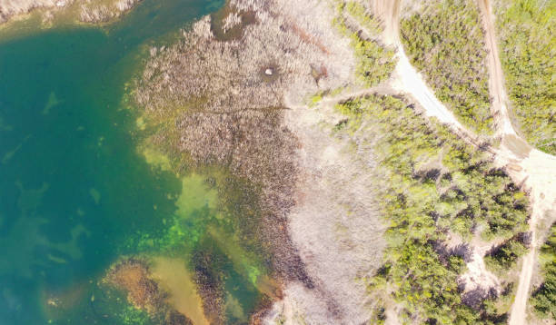 istock green pond with brown border and forest aerial view 1267261803