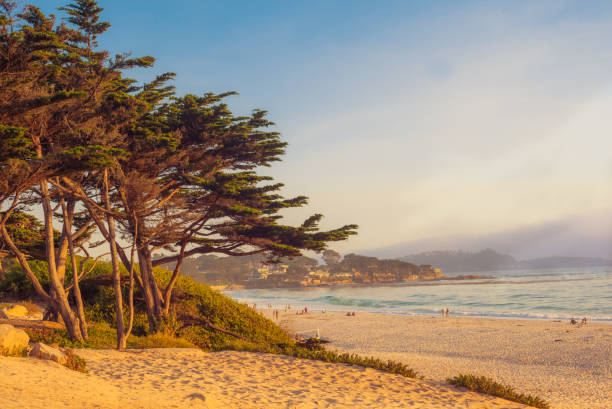 istock Beautiful minimalist seascape with standing trees. 1267262658