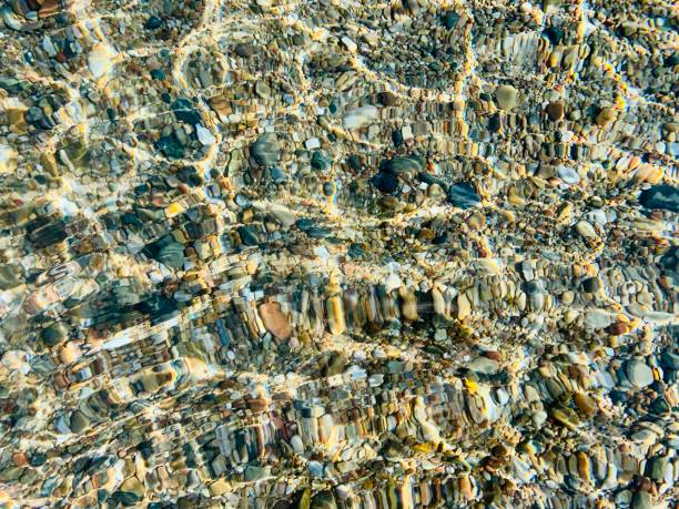 istock Bottom of the sea through water wavy 1267263696