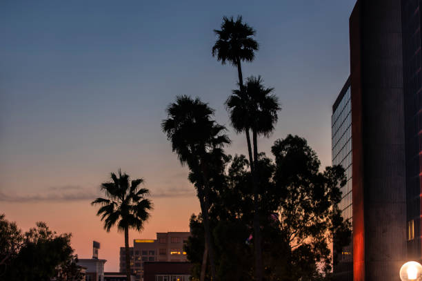 istock Anaheim, California 1267268243