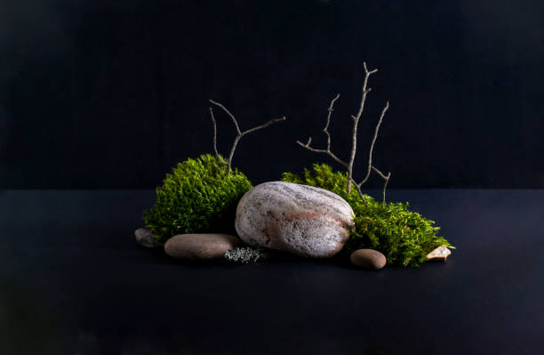 istock Abstract background with bark tree, moss stone podiums for products presentation or exhibitions.  Concept for natural eco organic bio cosmetic beauty product  with copy space 1267270683
